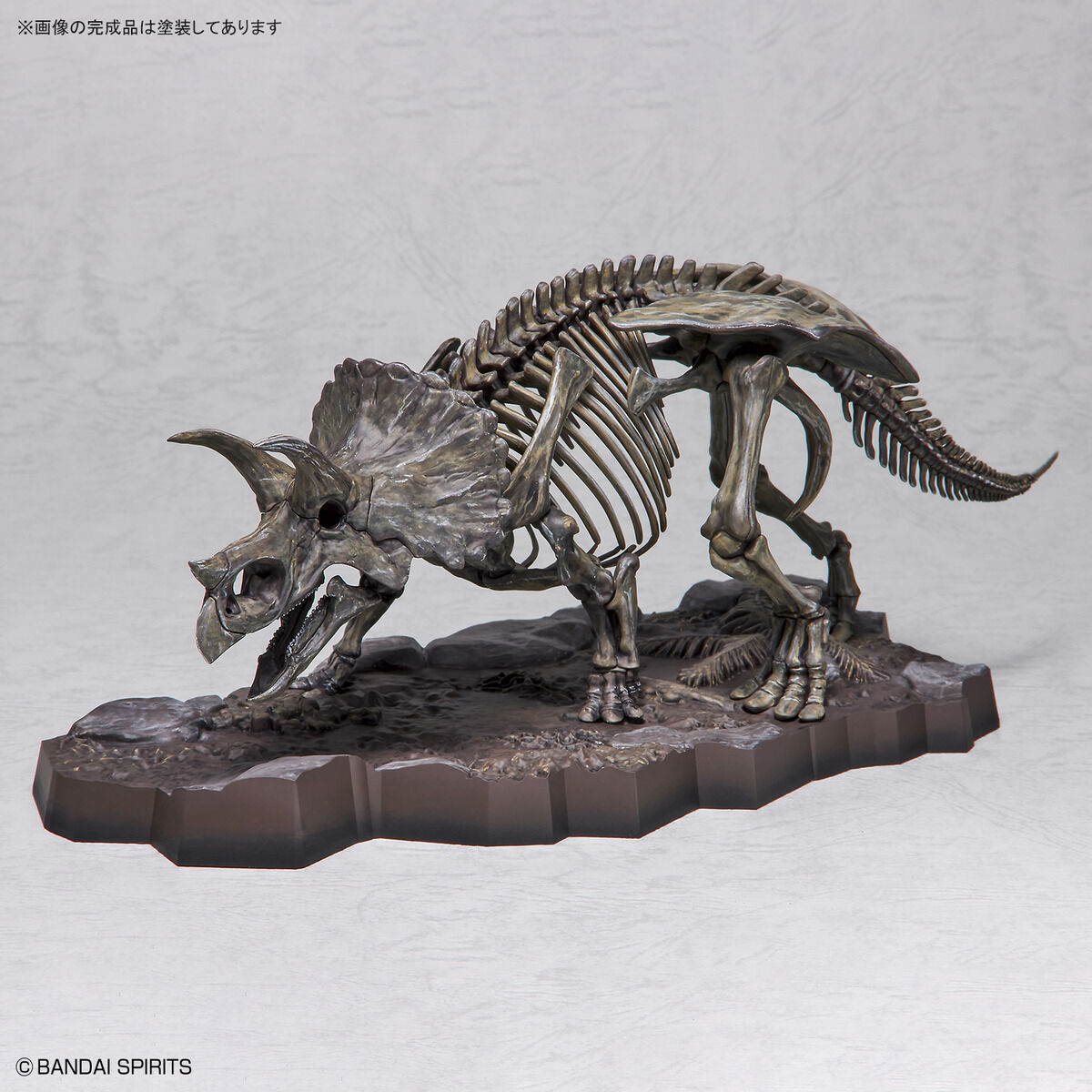 1/32 Imaginary Skeleton トリケラトプス タムタムオンラインショップ