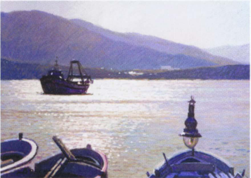 Francisco Boschフランシスコ・ボッシュ┃チャリティー絵画展を開催し