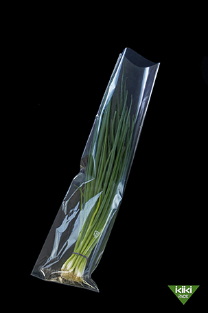 ねぎ アーカイブ | 株式会社堀江本店｜株式会社ホリックス