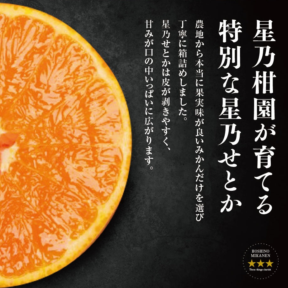 星乃せとか【木成り完熟/みかんサイズ混合】 3kg – 星乃柑園