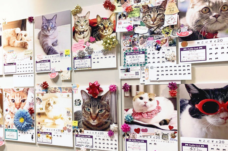 ねこにすと』にてhugUを紹介いただきました！｜ハグー -みんなのペット