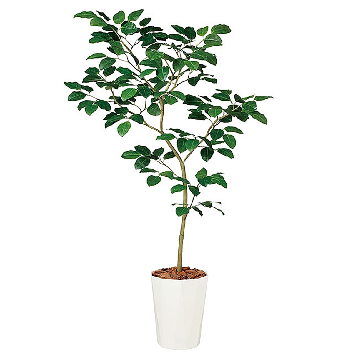 ベンガルボダイジュ FST 鉢付｜東京堂のフェイクグリーン