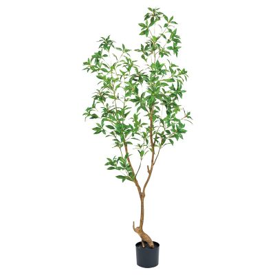 シロダモポット｜東京堂のフェイクグリーン