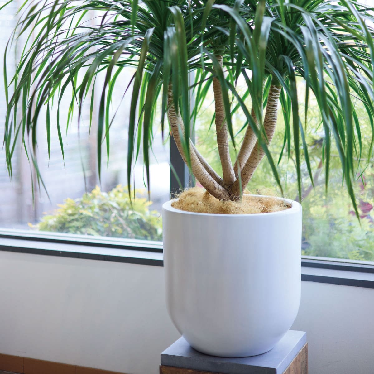 モダン WY16 マット釉 鉢カバー｜ヤマテーのプランター