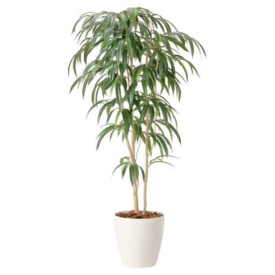 ショウナンゴム1.6 2454A400｜アートクリエイションのフェイクグリーン