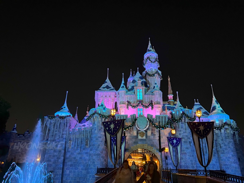 DLR＆DCL】「シンデレラ城」ならぬ「眠れる森の美女の城」美しい