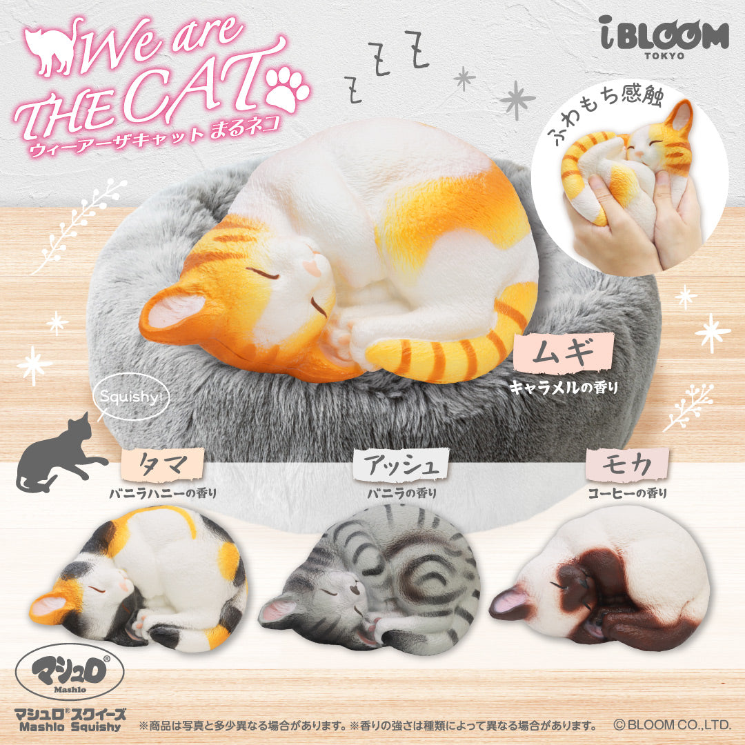 ねこコレクション – i-BLOOM SQUISHY OFFICIAL SHOP