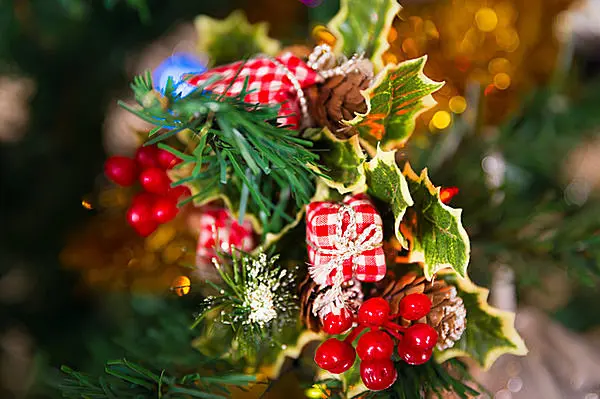 大地の軛(くびき)から解き放たれた神聖な宇宙樹・ヤドリギとクリスマス