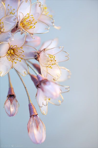 小物 桜」のアイデア 16 件 | マニキュアフラワー, ディップアート