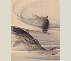 円山応挙 鯉」の検索結果