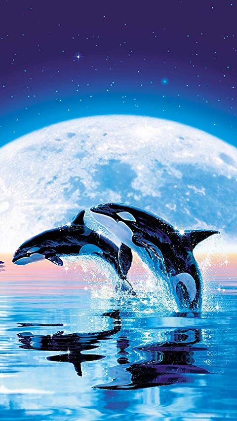 ラッセン スイム イン ザ ムーン XFVGA(480×854)壁紙 画像55182 スマポ