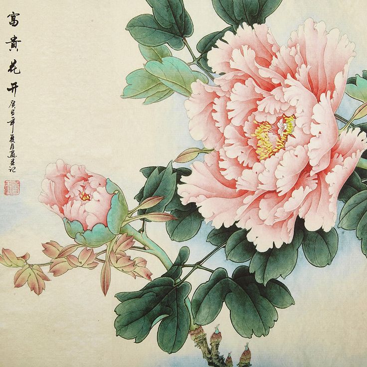 52 件の「芍薬」のアイデアを今すぐ保存 | 花 イラスト、花、花 絵 など