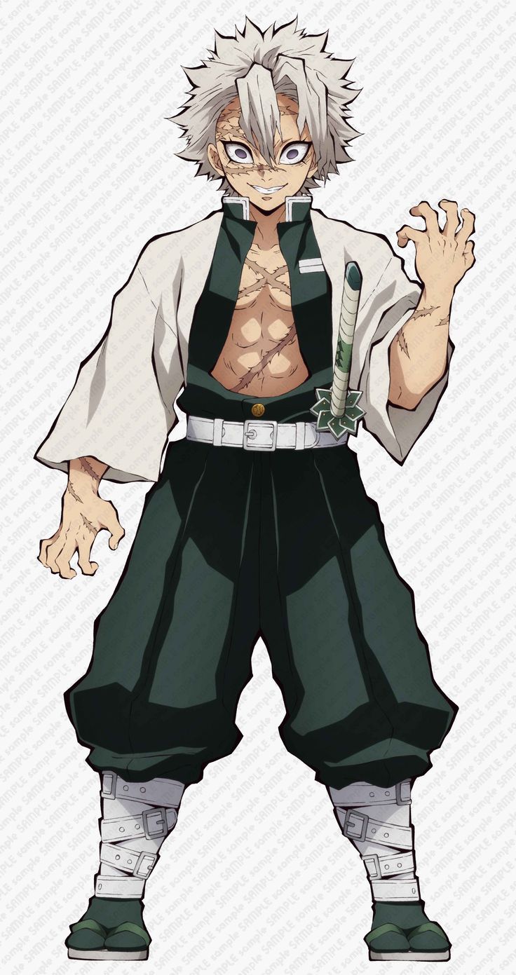 アニメ「鬼滅の刃」不死川実弥 2019 立ち絵描き下ろしイラスト