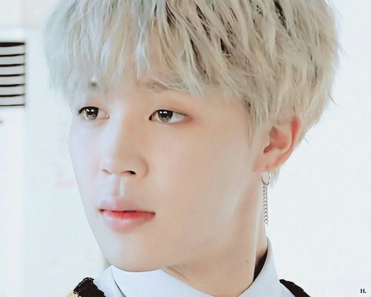 BTS ジミン Happy Ever After ハピエバ ミニフォト コンプ BTS ジミン