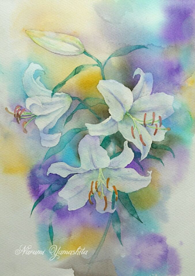 ユリの花 水彩画 シルバーフレーム ユリの花 水彩画 シルバーフレーム