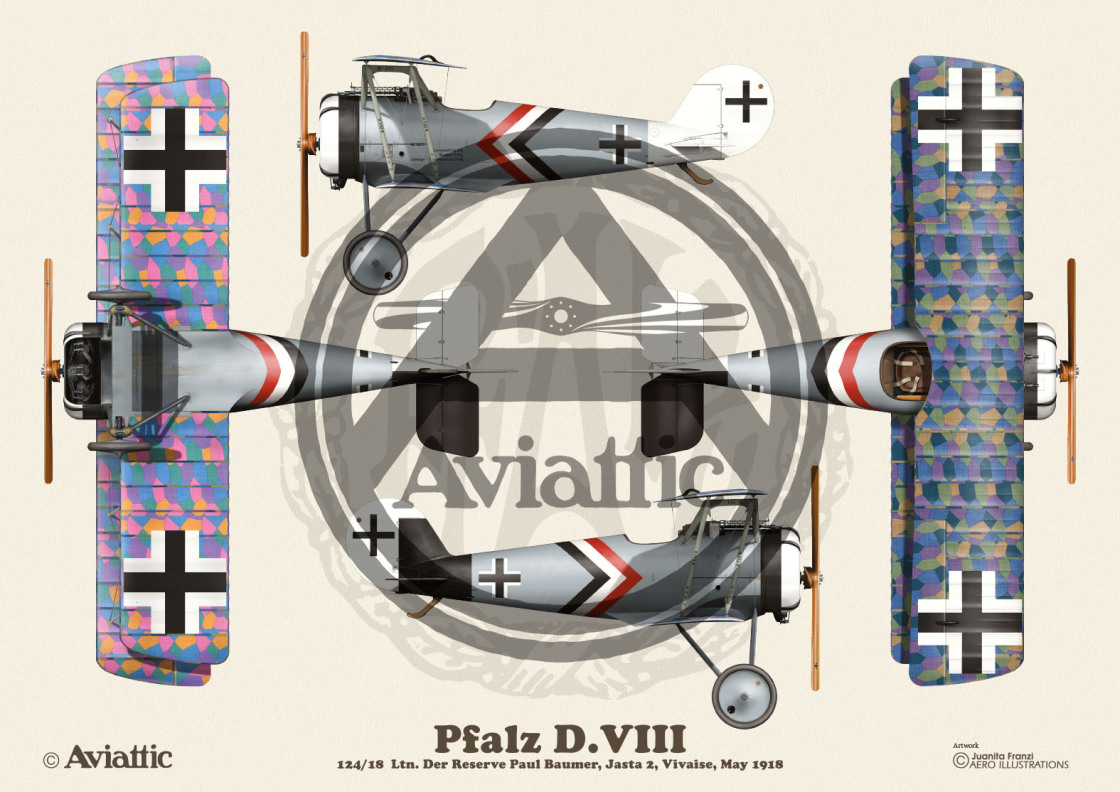 Aviattic 1/32 Pfalz D.VIII - Master194.com