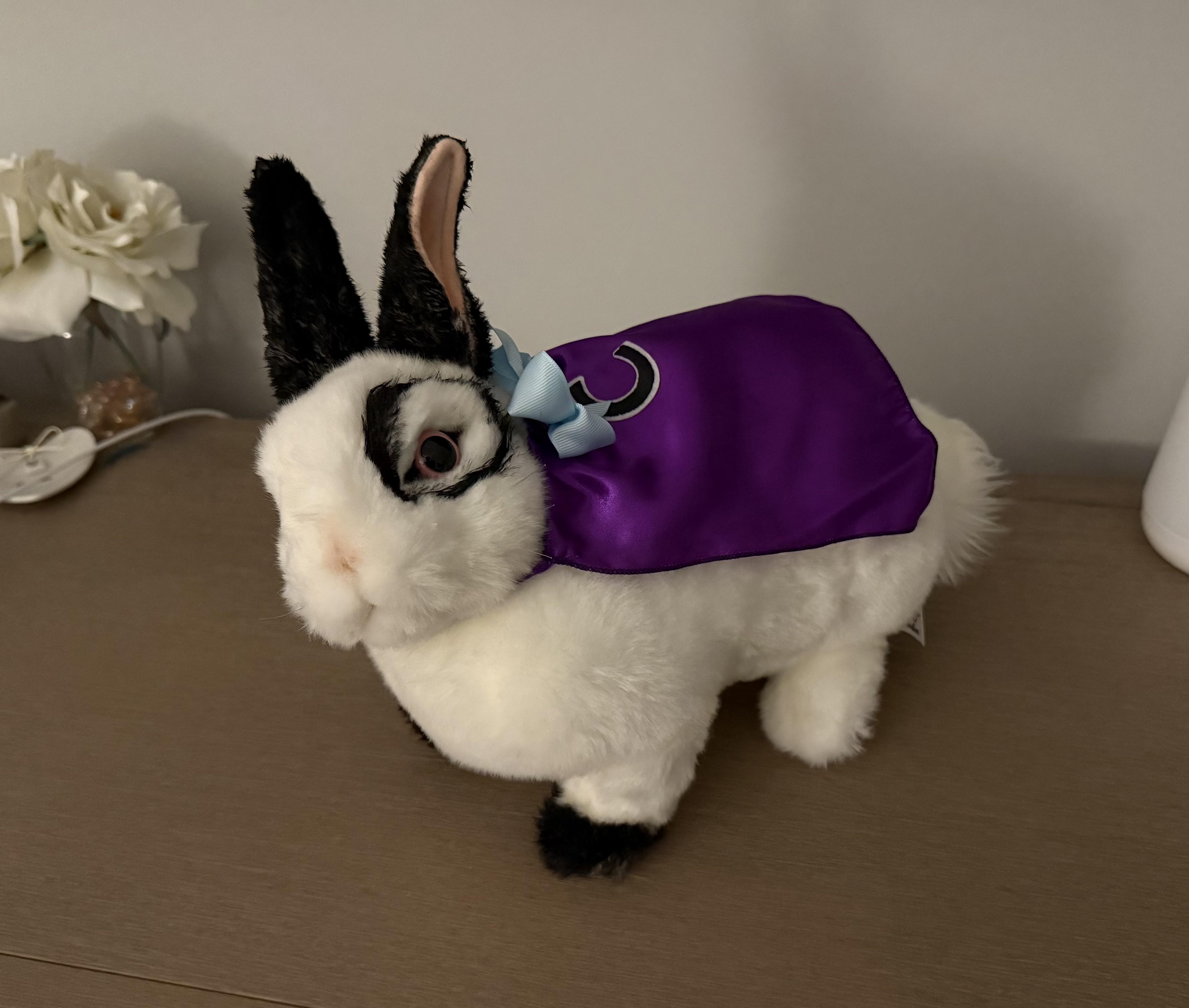 娘の誕生日に手作りのドクター・コロッソを作ってあげたんだ : r