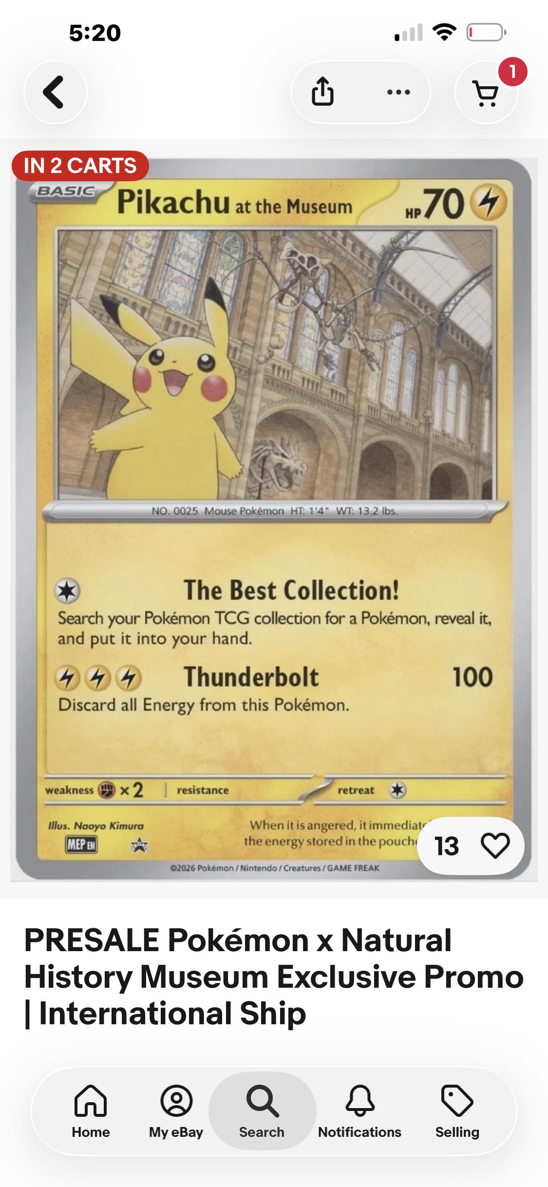 Museum Pikachu : r/PokeInvesting