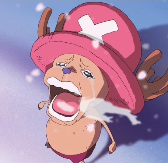 それで、チョッパーってワンピースのマスコット的な存在なの？ : r