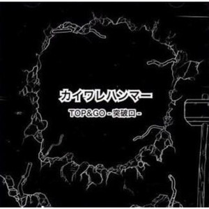 カイワレハンマー | Spotify