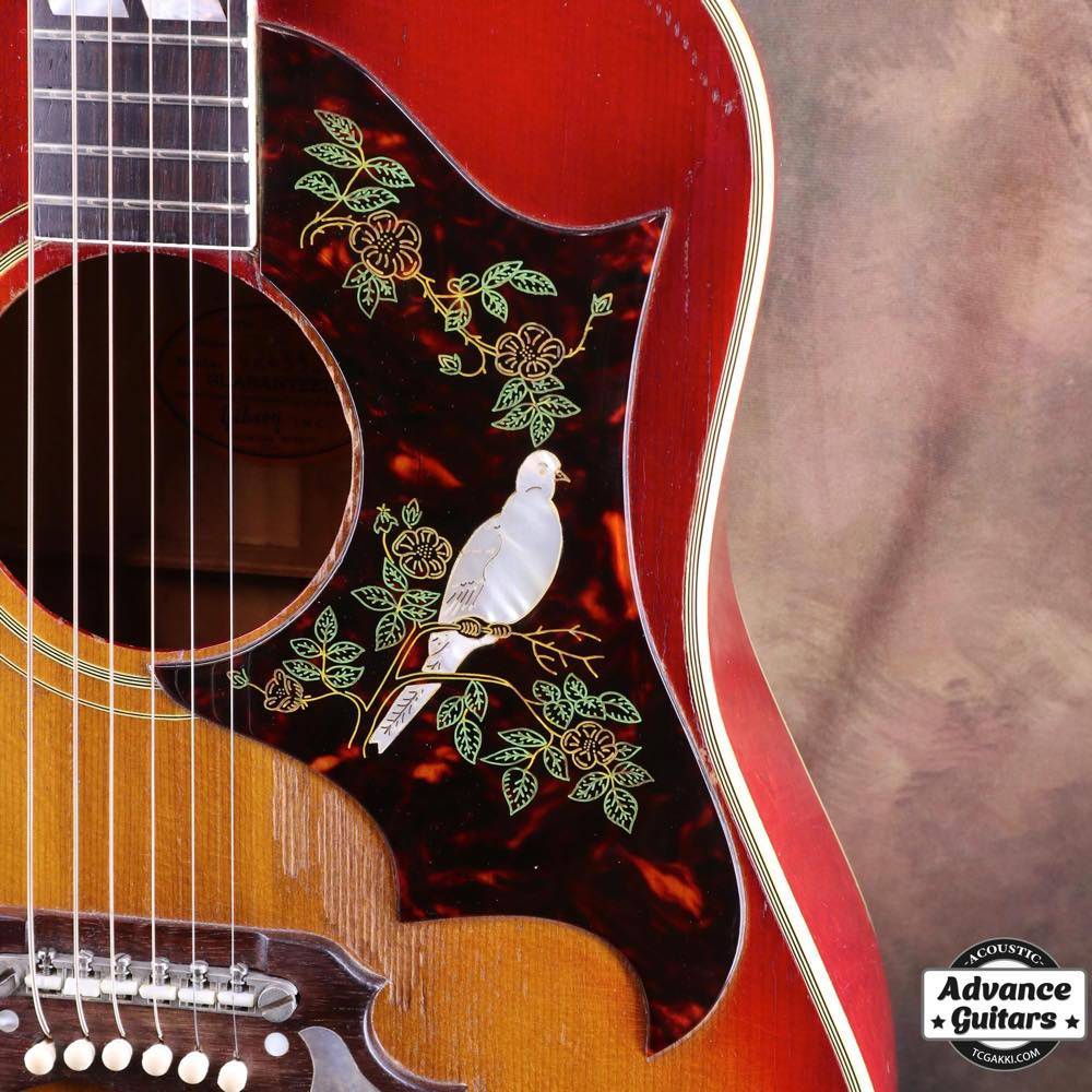 Gibson Dove | ダヴの歴史と仕様解説