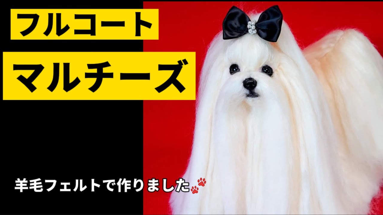 憧れのフルコート作成！！】羊毛フェルト マルチーズのマルちゃん完成