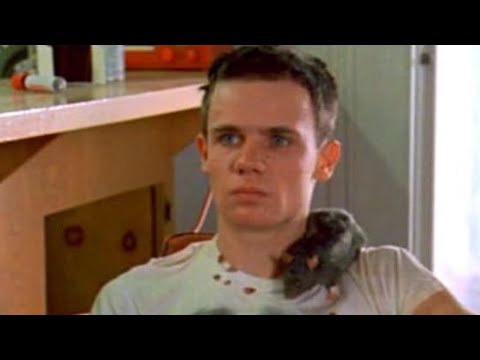 若きレッチリのフリー、パンク・ロックに酔いしれる青年に／映画『反逆