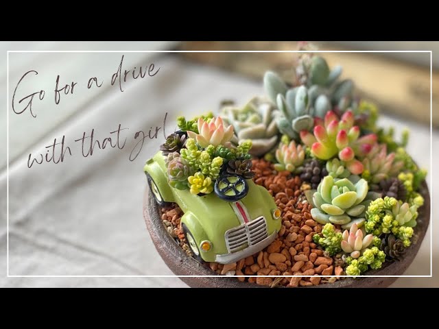 多肉寄せ植え】「あの子とドライブへGo!」 【多肉植物】【箱庭】 - YouTube