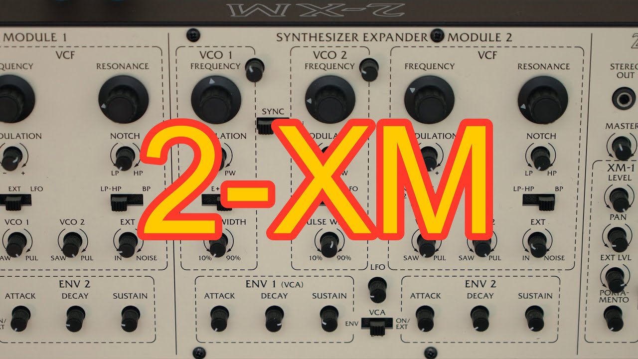 Behringer 2-XM: beyond normal - filter & feedback adventures - YouTube