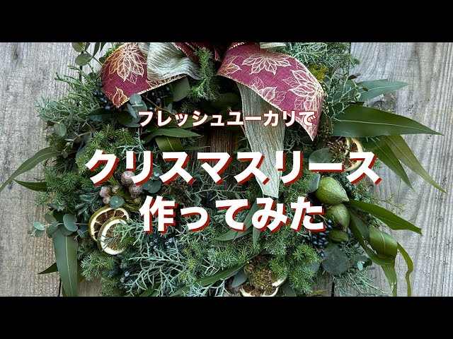 クリスマスリース】レモンユーカリ香るフレッシュグリーンのX'mas