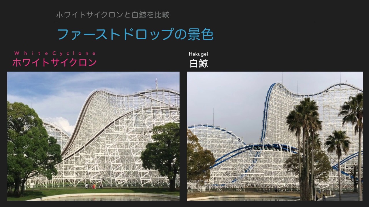 白鯨の魅力／びっくりビフォーアフター - What is the attraction of