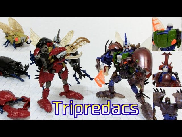 A cicada, a beetle and a crayfish combine into a robot!? 