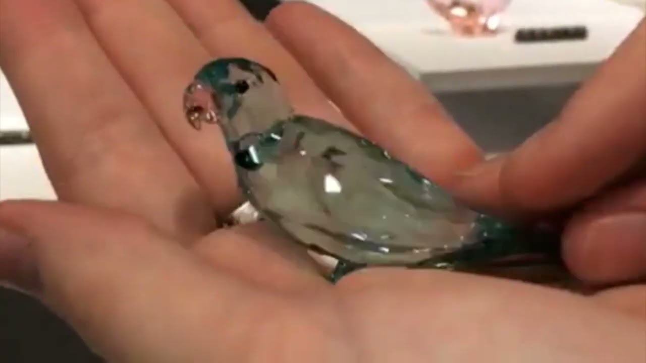 Swarovski Jungle Beats Paco Blue Parakeet Value - YouTube