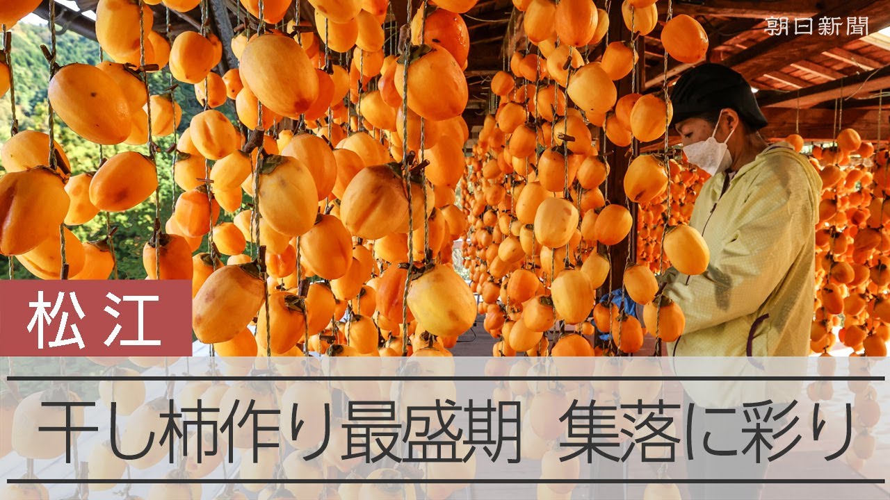 特産の干し柿の生産が最盛期、オレンジ色のすだれが集落を彩る - YouTube