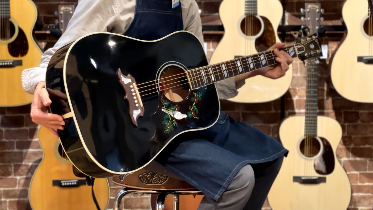 Gibson Dove Original Ebony #22423046 - YouTube