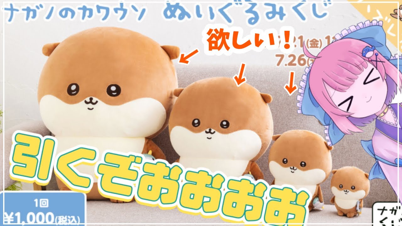 くじ】ナガノのカワウソ ぬいぐるみくじ！！大きいぬいぐるみが欲しい