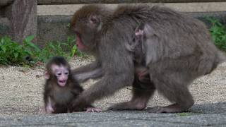 A Mother's Worst Nightmare: The Hidden Message Behind This Baby