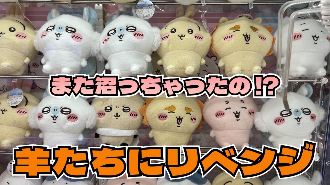 クレーンゲーム】ちいかわ しーぷわぬいぐるみ②に初日チャレンジ