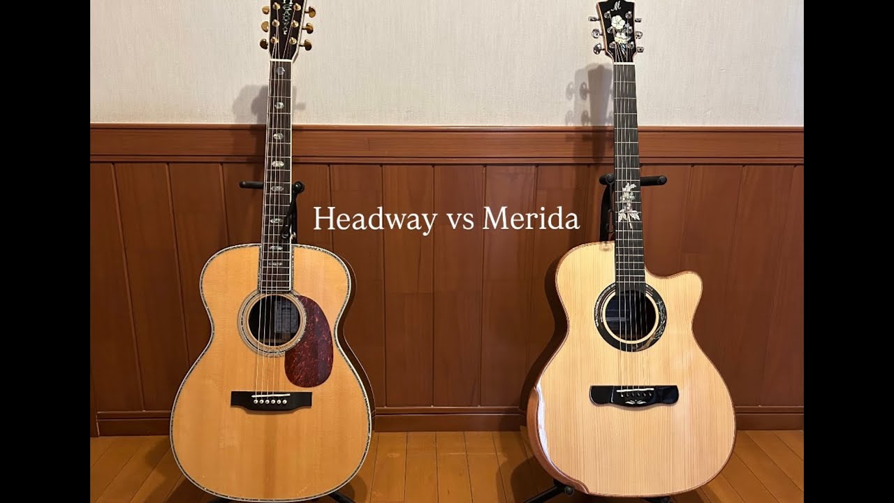 注文殺到】価格崩壊と話題の新作ギター『Merida / SCAR』開封