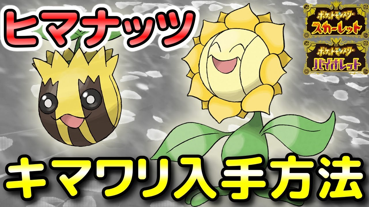 ポケモンSV】ヒマナッツ・キマワリ入手方法（出現場所）！進化条件も