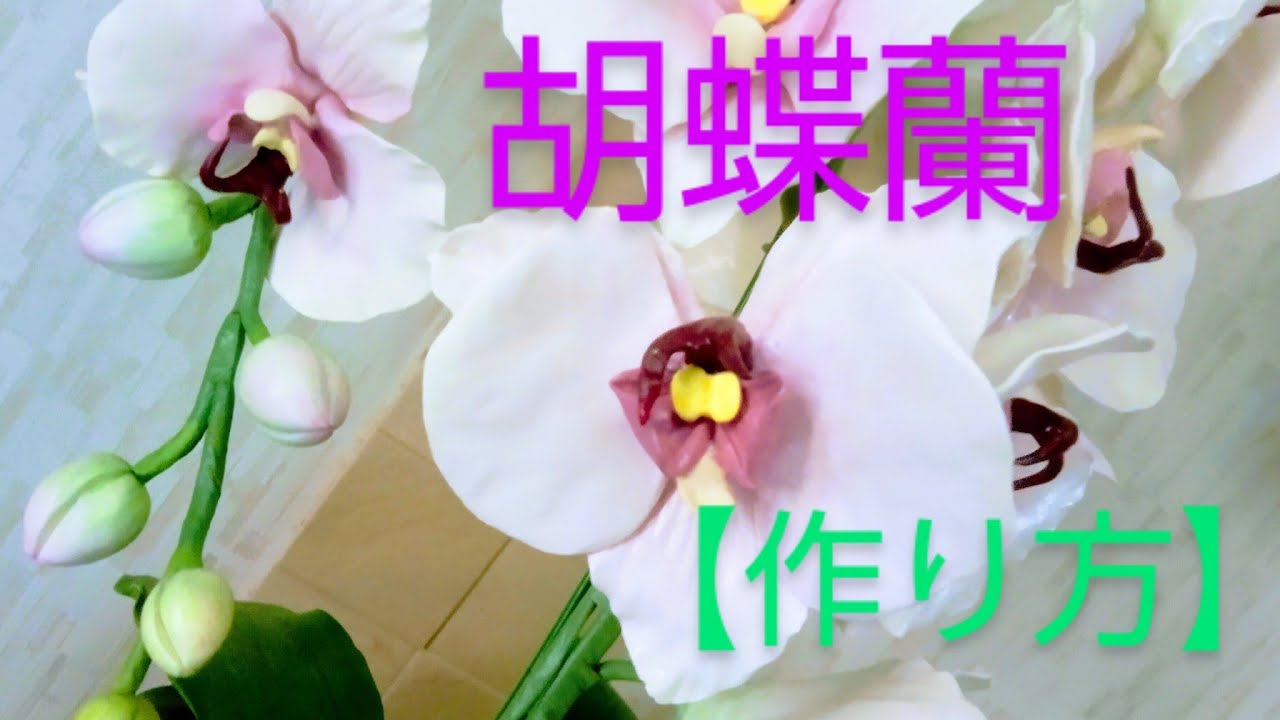 Clay Flower DIY クレイフラワー粘土で創作する【胡蝶蘭】 - YouTube