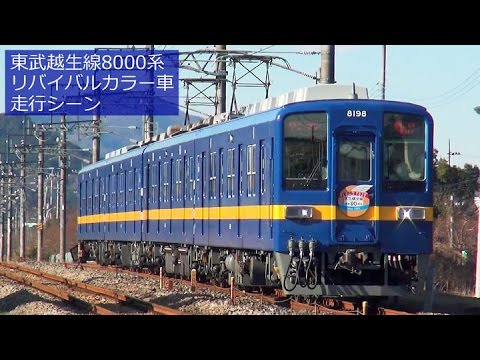 東武8000系 越生線に4種類集結～フライング・ツートン・クリーム・標準