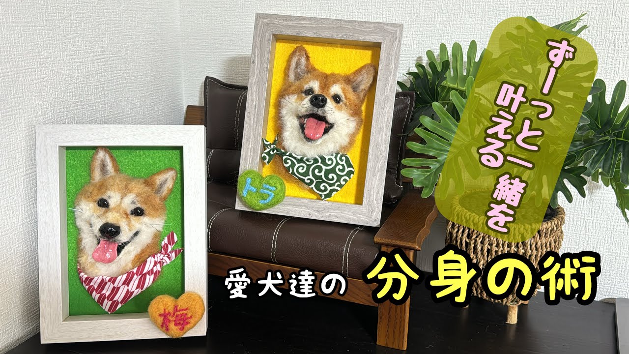 わたわたペットのうちの子プレート【リアル可愛い羊毛作品】 - YouTube