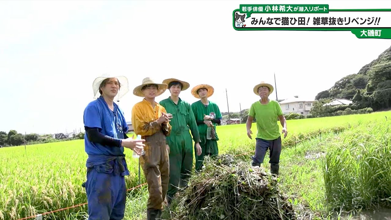 猫のひたいほどワイド #1257 潜入リポート・小林希大「みんなで猫ひ田