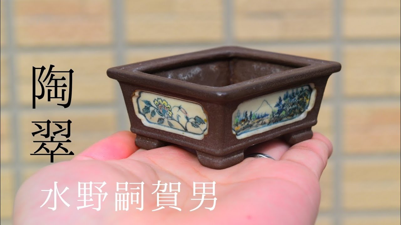 盆栽鉢紹介！水野嗣賀男陶翠 Sikao Tosui Bonsaipot - YouTube