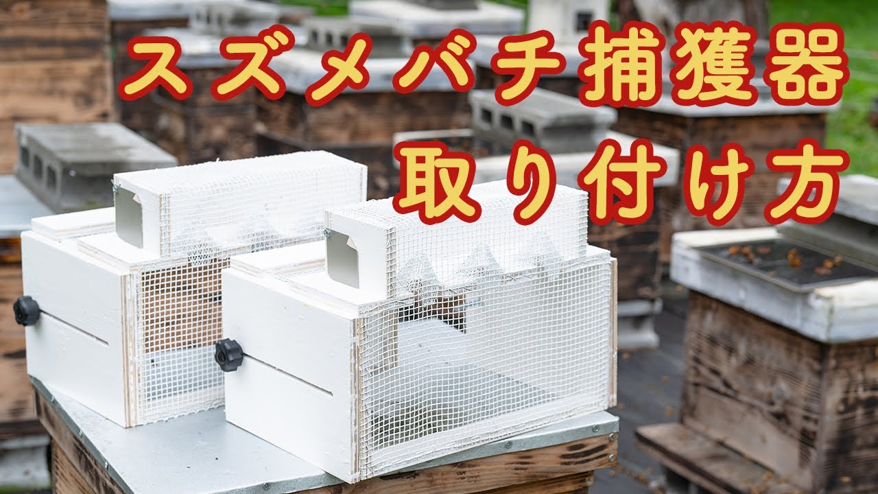 スズメバチ捕獲器の取り付け方 養蜂／岩手県／東北 - YouTube