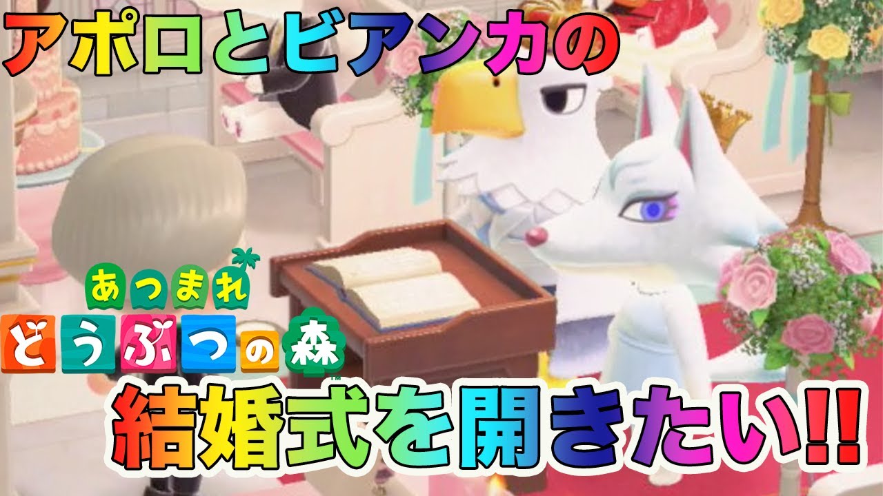 ジューンブライドイベント開催記念にアポロとビアンカの結婚式を開く