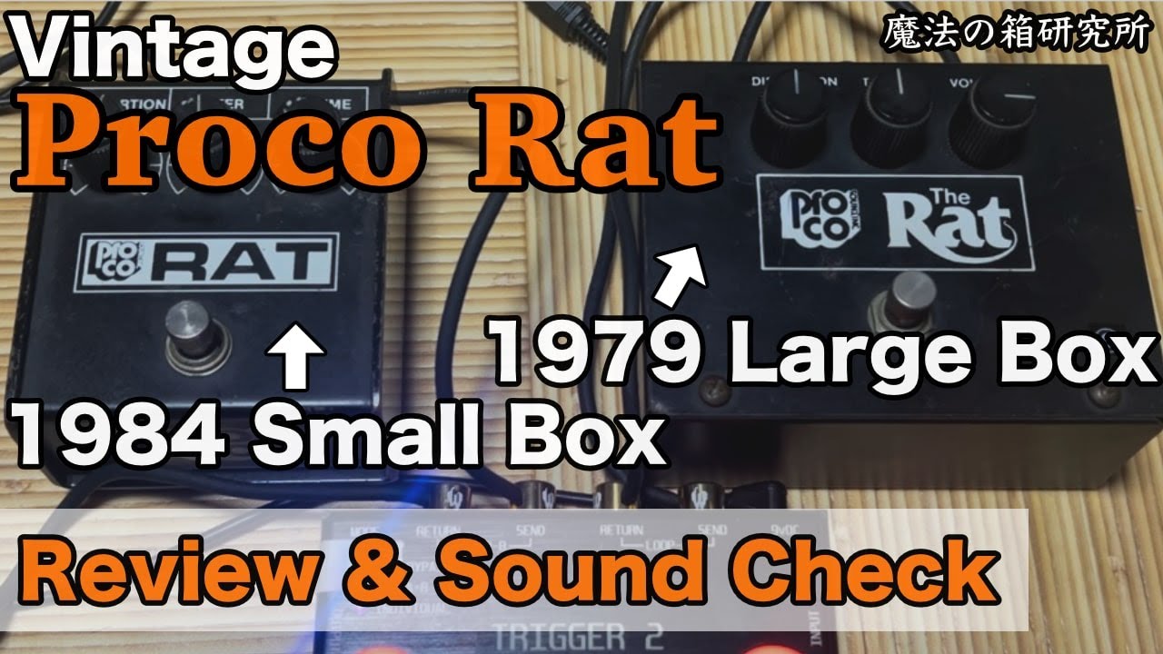 Proco RAT's 1979 Large Box and 1984 Small Box! Review of the