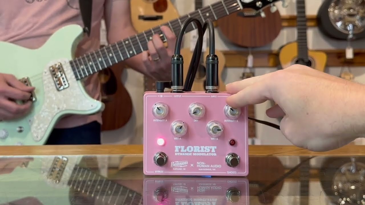 Guitar Pedal X - News - Inspired by the Slow Loris Dynamically