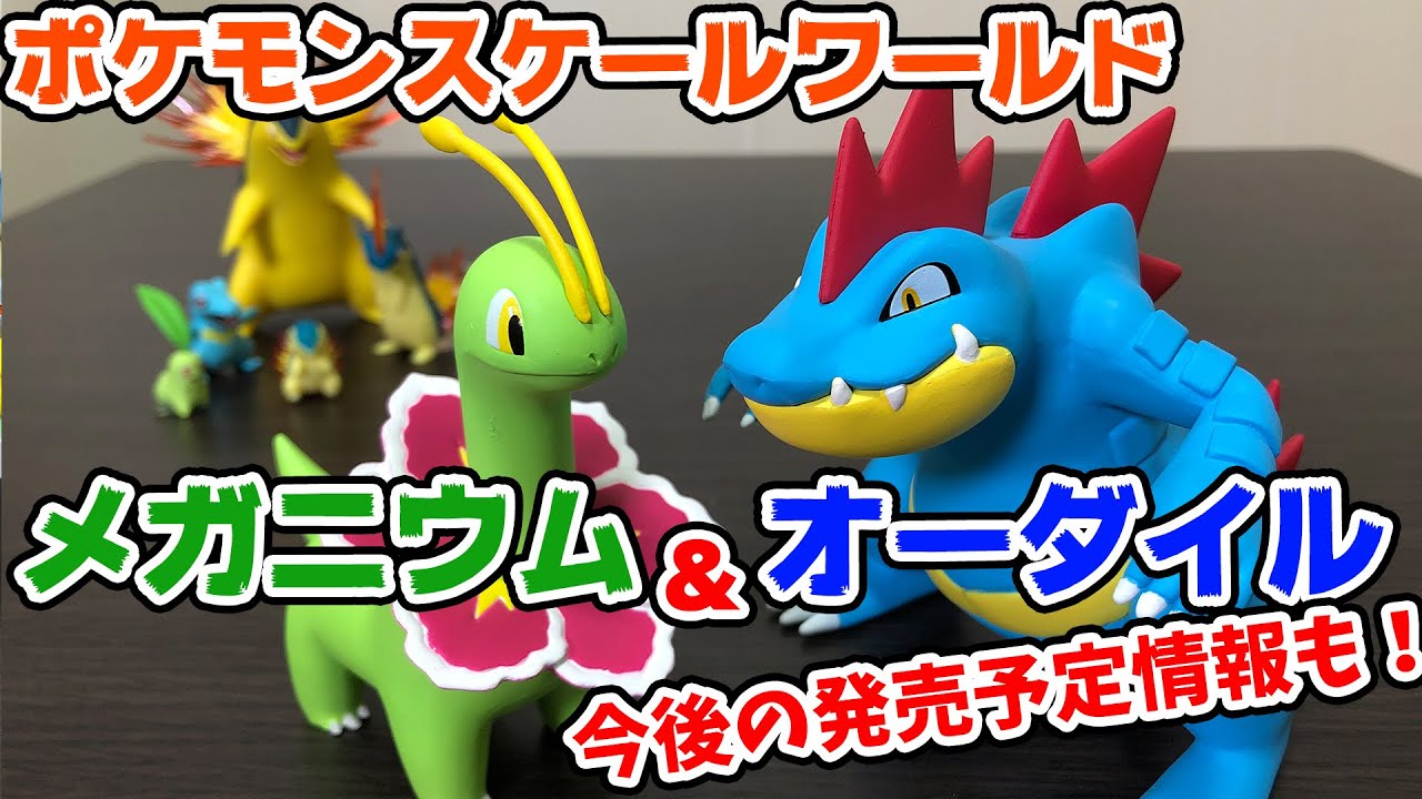ポケモンスケールワールド メガニウム＆オーダイル登場！今後の発売